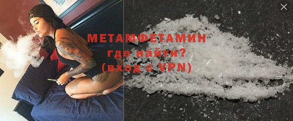 прущие грибы Тавда