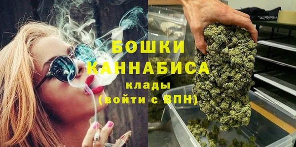 прущие грибы Тавда