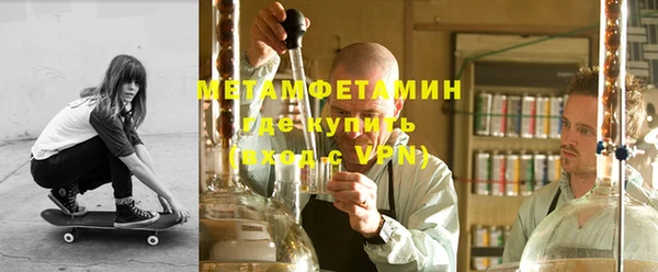 прущие грибы Тавда