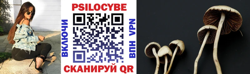 Галлюциногенные грибы Psilocybine cubensis  гидра вход  Кунгур  закладка 